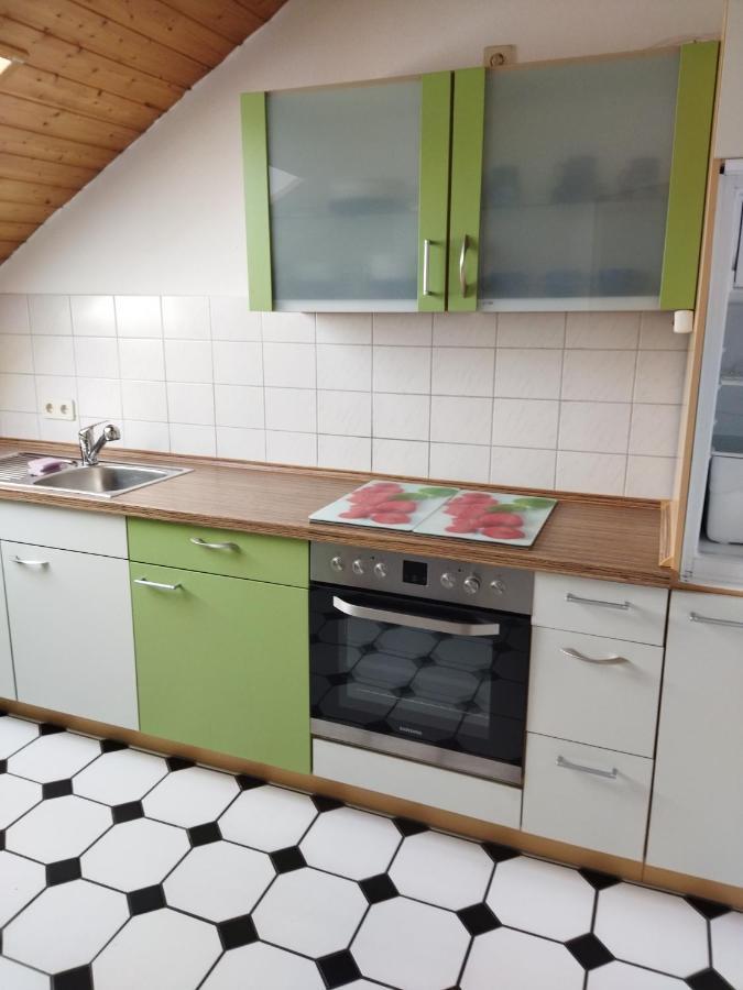 Aussergewoehnliche Atelierferienwohnung Mit Balkon An Der Donau Winzer Exterior foto